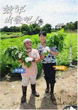 风暴影视综艺清单可中断度资讯配图